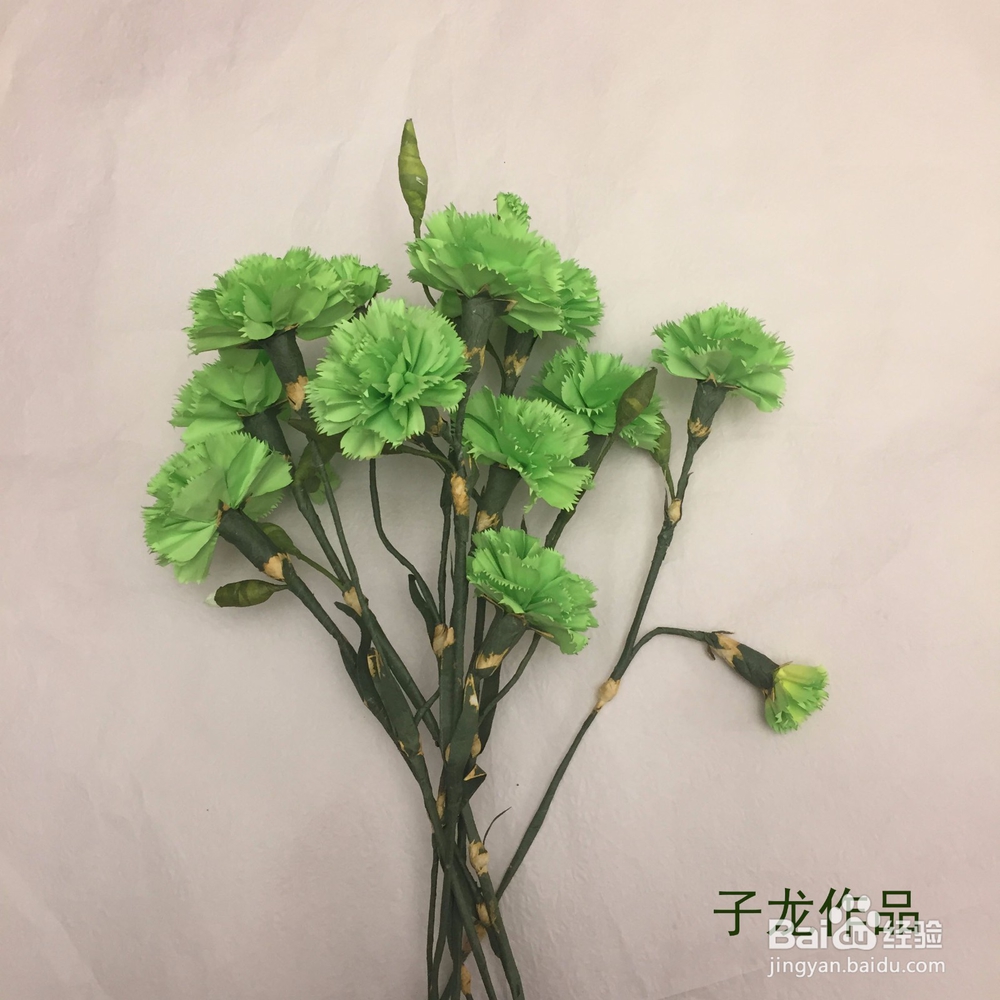 康乃馨叶子的折法