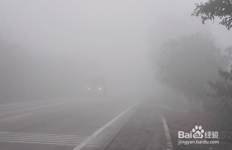 山区夜间开车遇到大雾怎么办？