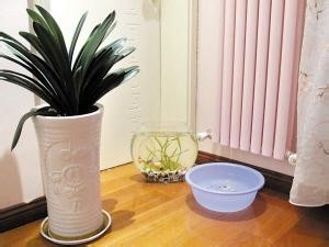 夏季防暑宝典——居住篇