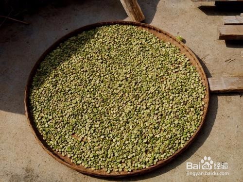 带皮蚕豆如何保存