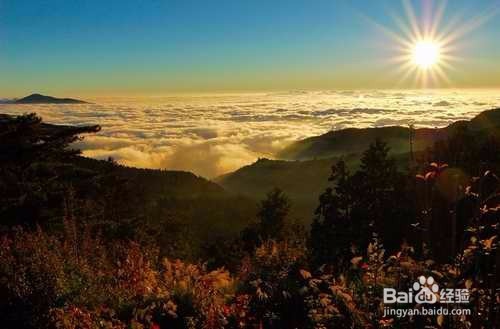 造化之功（阿里山）