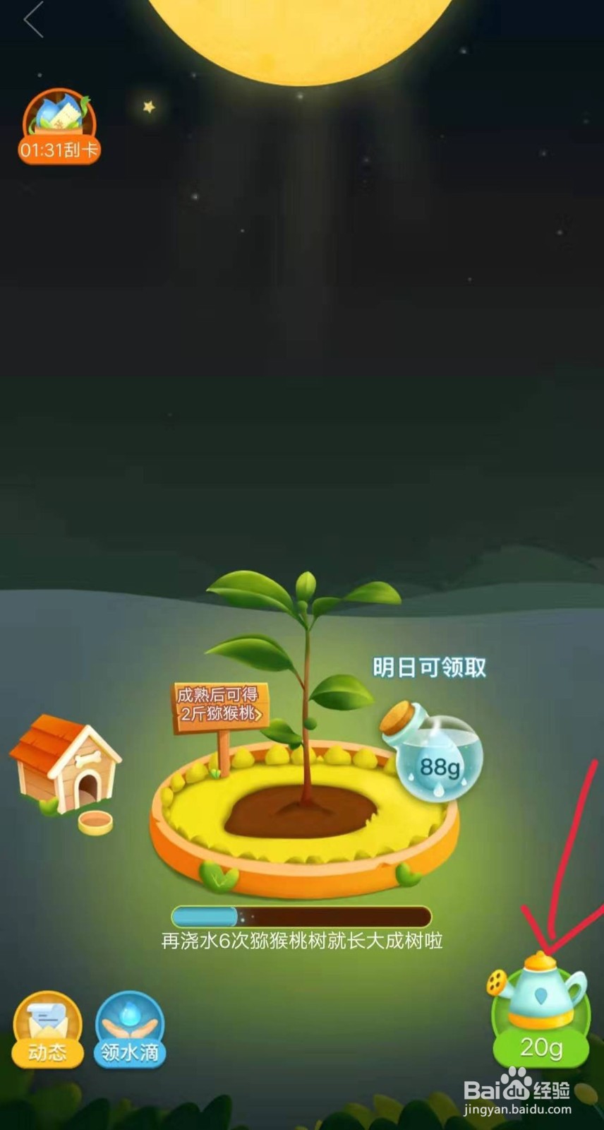 拼多多果园为什么不能偷朋友的水多多果园种树