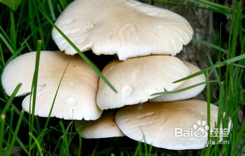 夏天去清远黄腾峡漂流一日游攻略