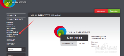 VisualSVN Server官网下载