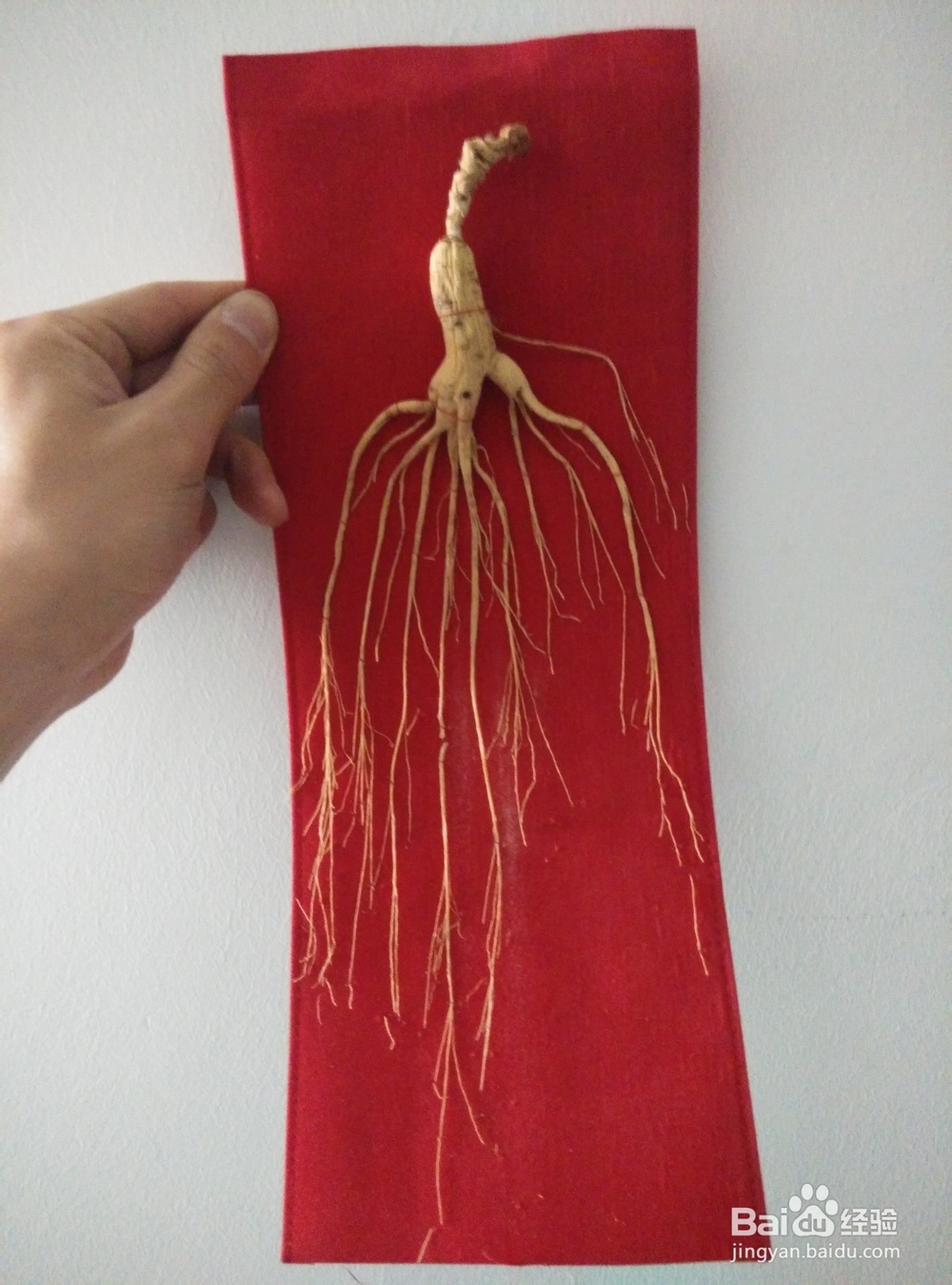 怎么煎中药才能使药效最佳