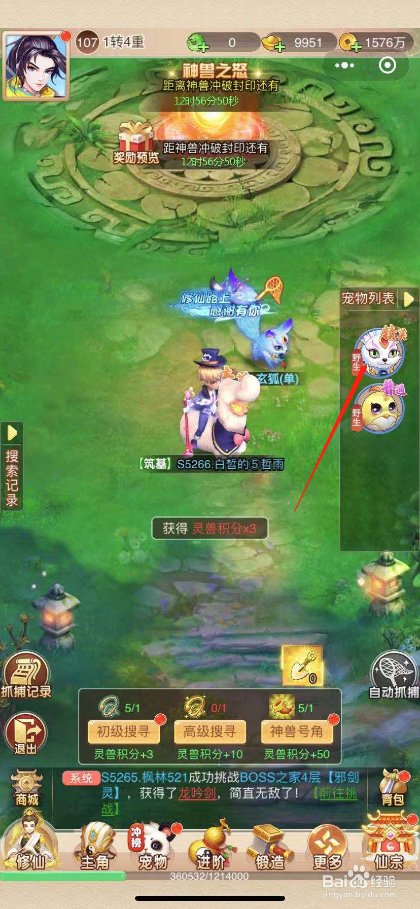 梦回山海怎么捕捉宠物