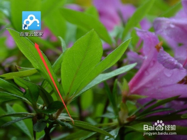 如何用百度云管家离线高速下载BT文件