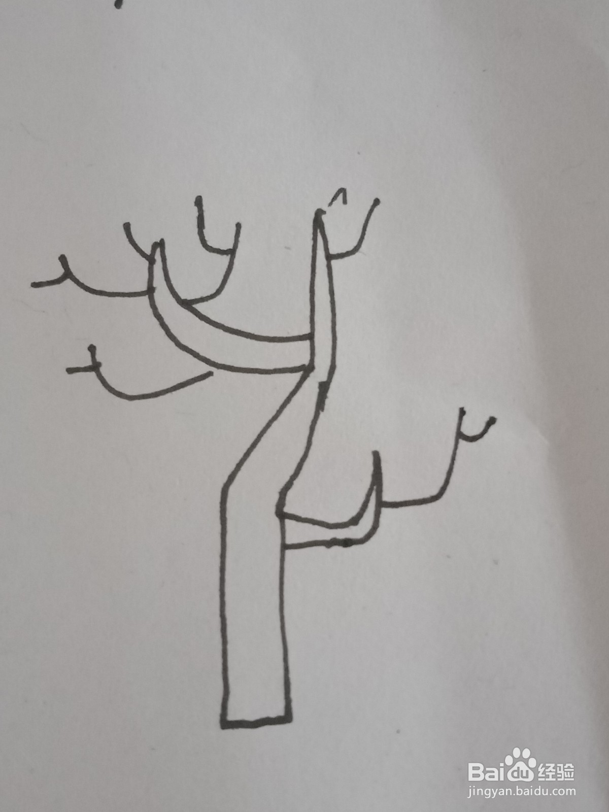 幼儿园简笔画树木