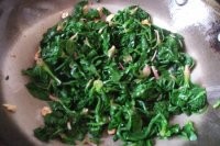 老签传之果仁菠菜