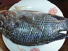 烧出来的美味——红烧鱼