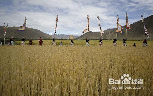 山南旅游小贴士以及注意事项