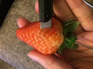 食补佳品草莓玫瑰花的做法