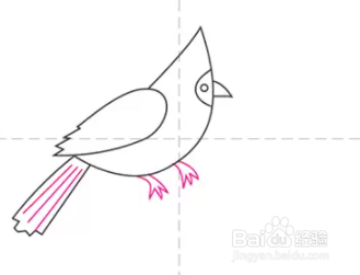 如何绘制主红雀