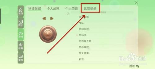 球球大作战自动录像怎么看