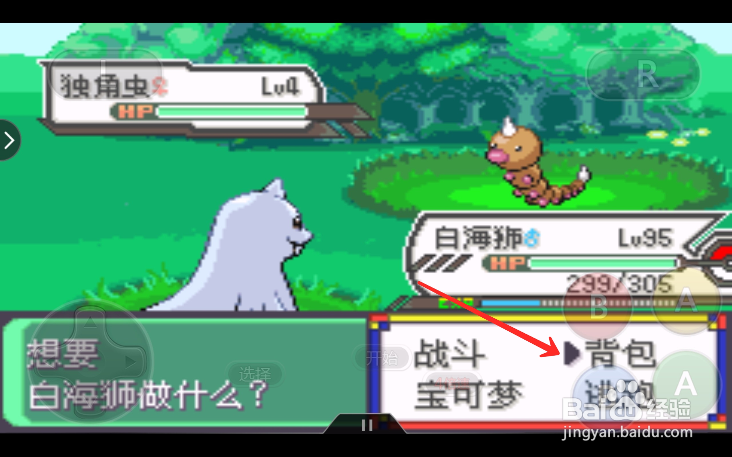口袋妖怪独角虫怎么抓