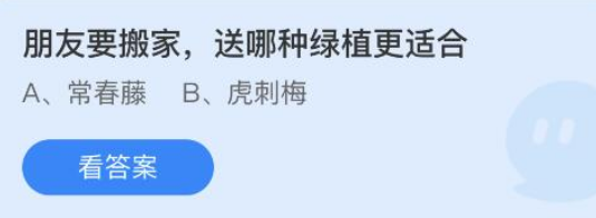 朋友要搬家送哪种绿植更适合
