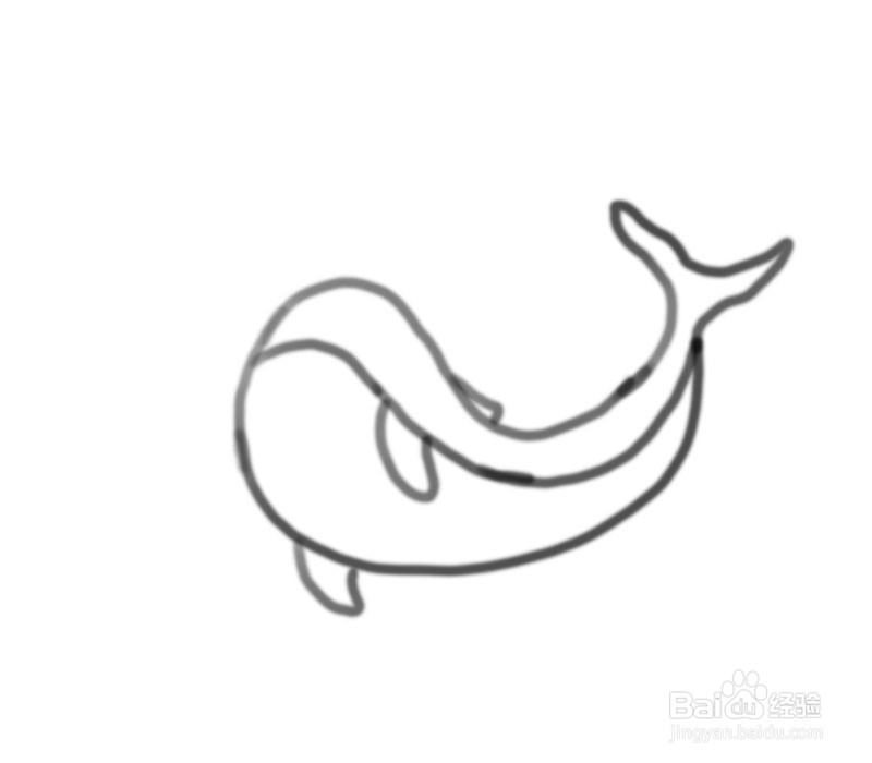 可爱的小鲸鱼