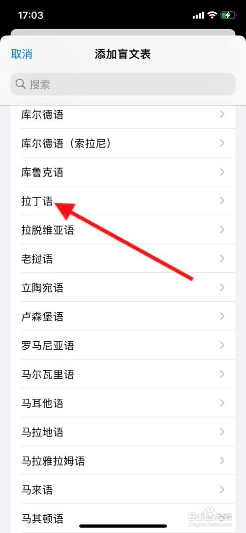 iPhone旁白添加“拉丁语”盲文表