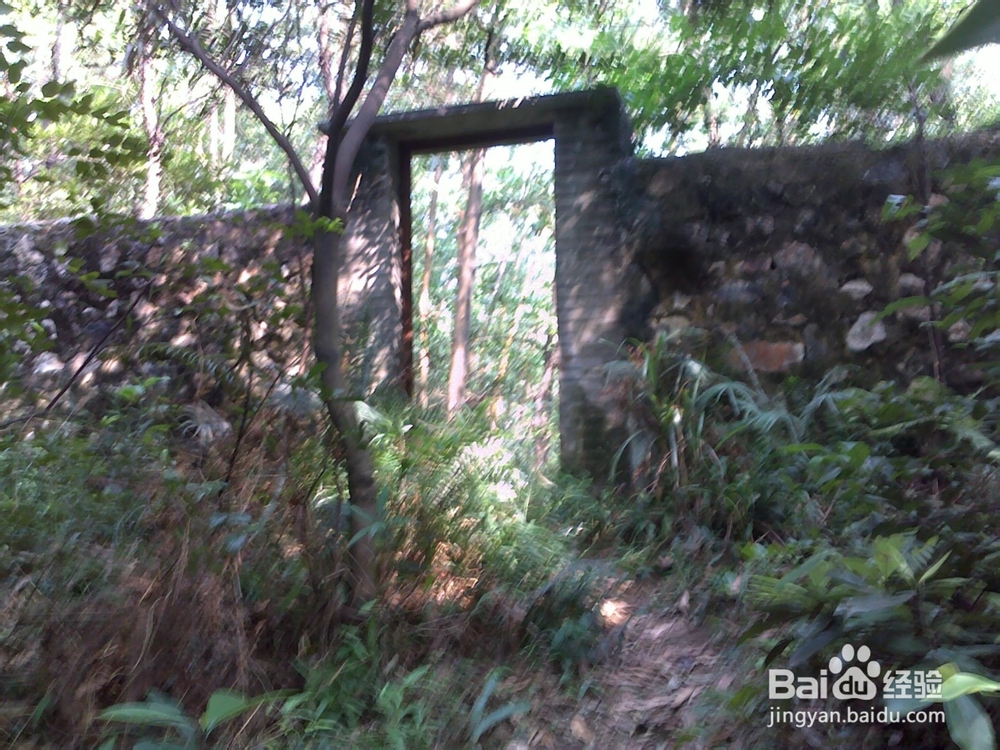 广州火凤线攻略