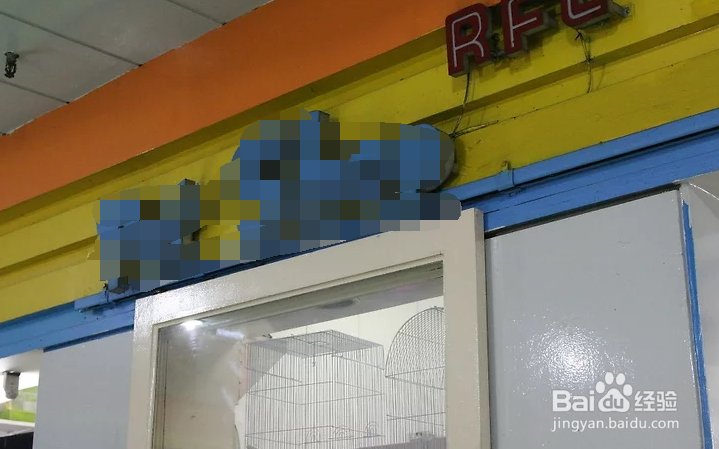 如何对你的鱼缸进行循环