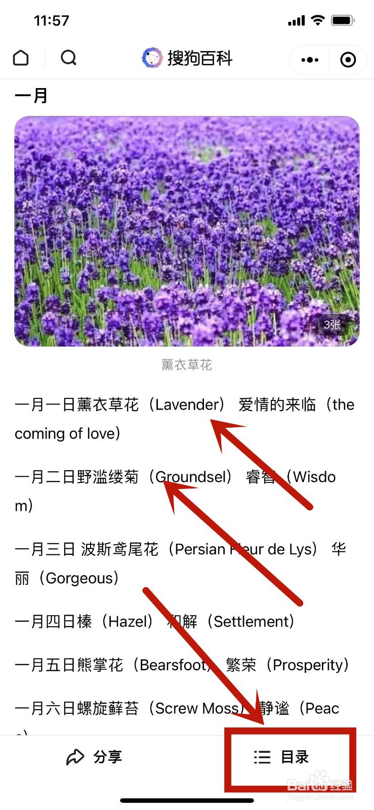 怎么查自己的生日花