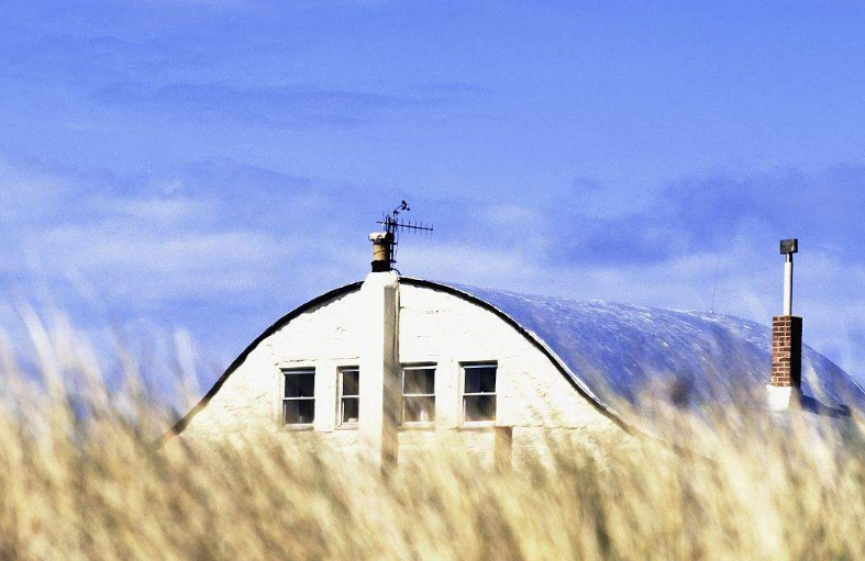 草房子的第七章白雀（二）的主要内容是什么