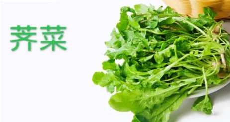 荠菜在南方叫什么菜
