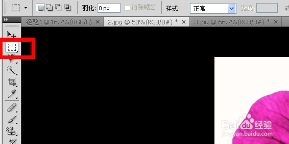 PS快速入门：[3]套索与魔棒