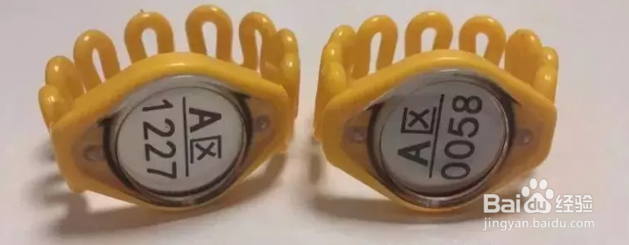 游玩攻略—鼎龙湾·德萨斯水世界旅游攻略