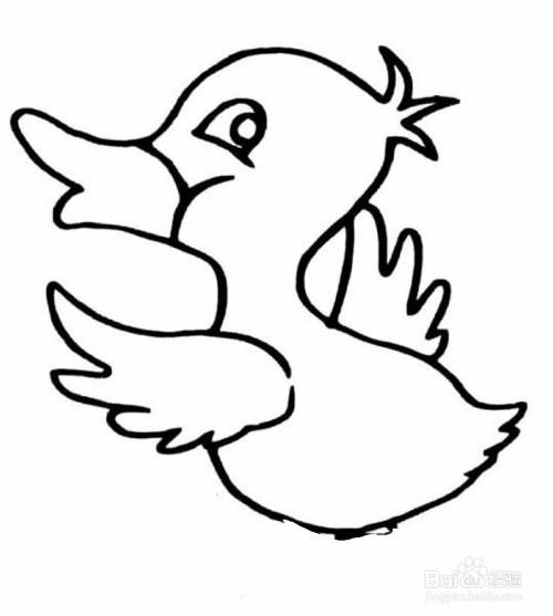 小鸭宝宝的画法