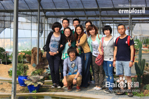 上海景天韵多肉植物大棚--QQ群人物篇