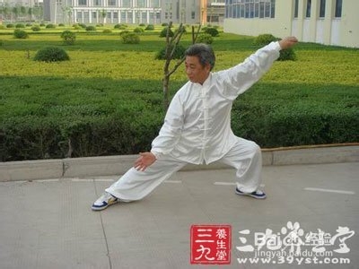 杨式太极拳拳谱 行云流水优雅放松