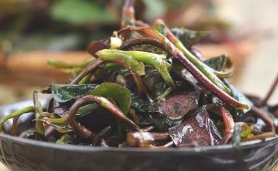 春天适合吃什么野菜