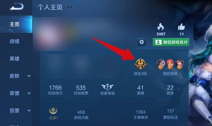 《王者荣耀》为什么不显示分路段位