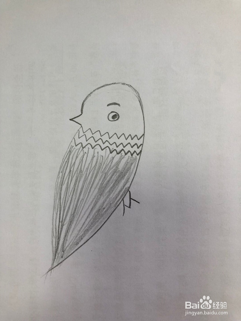 怎样画简易版的麻雀？