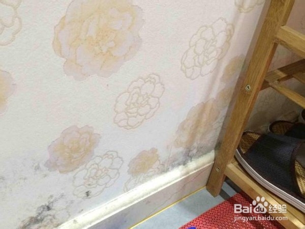 墙纸发霉处理及保养