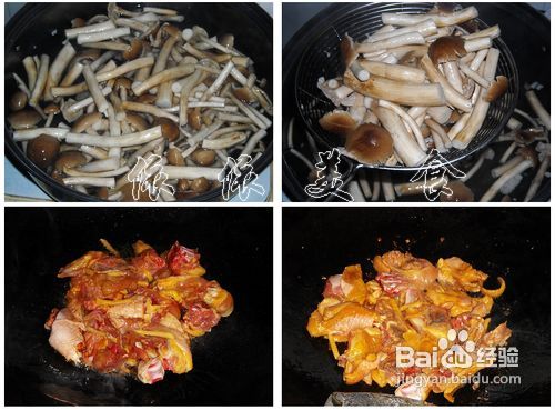营养美味的茶树菇滑鸡