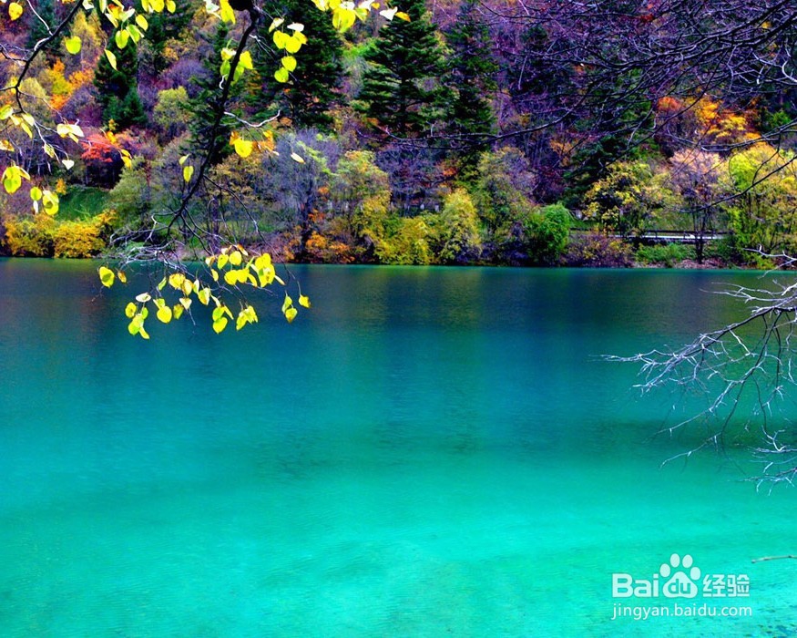 中国最美的地方在哪里