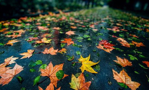 秋天还有哪些颜色分别给了谁
