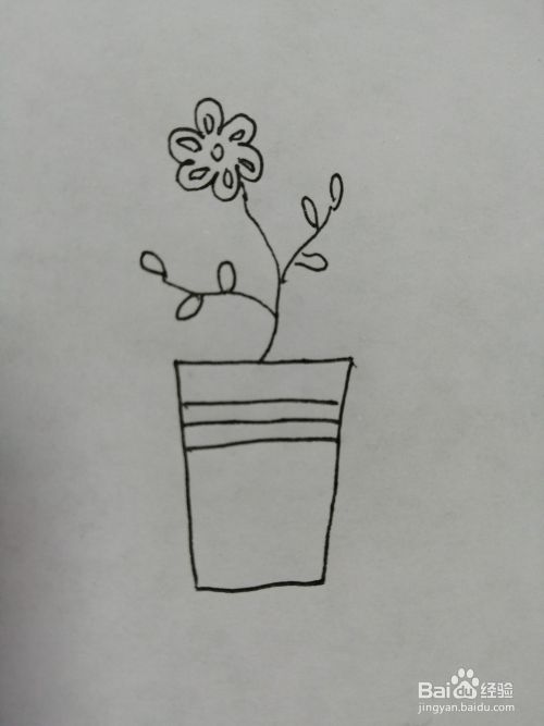 可爱的盆栽小花怎么画