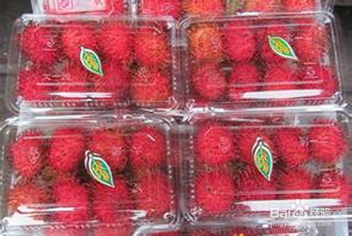 不一样的海南旅游攻略：[3]如何购买热带水果