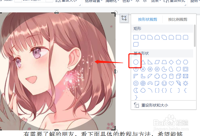 ppt图片怎么局部裁剪