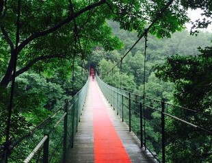 桂林伴漓:炎炎夏日,远离人人,感受古东魅力!