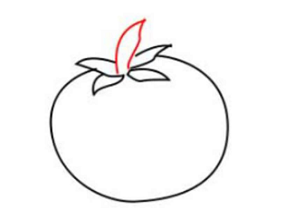 简笔画-如何画番茄