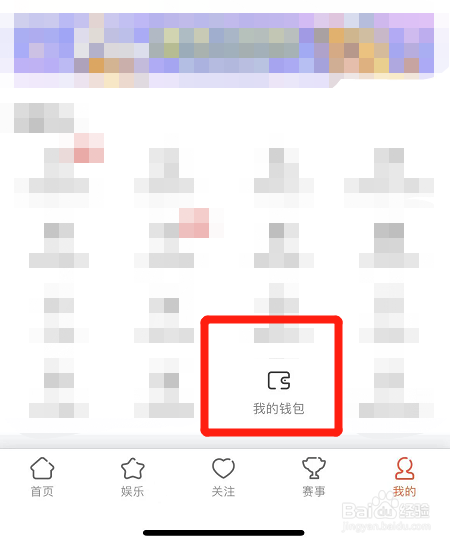 斗鱼的消费记录在哪看