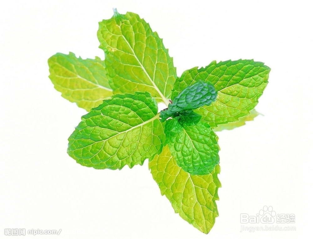 教你怎么治口臭 让口腔更健康