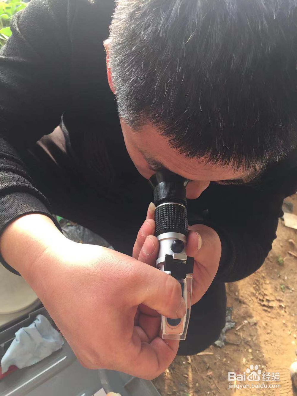 赤丹的试验使用经验和报告