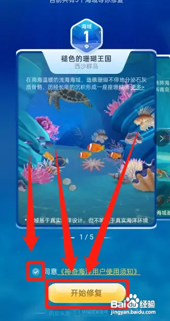 支付宝神奇海洋怎样玩