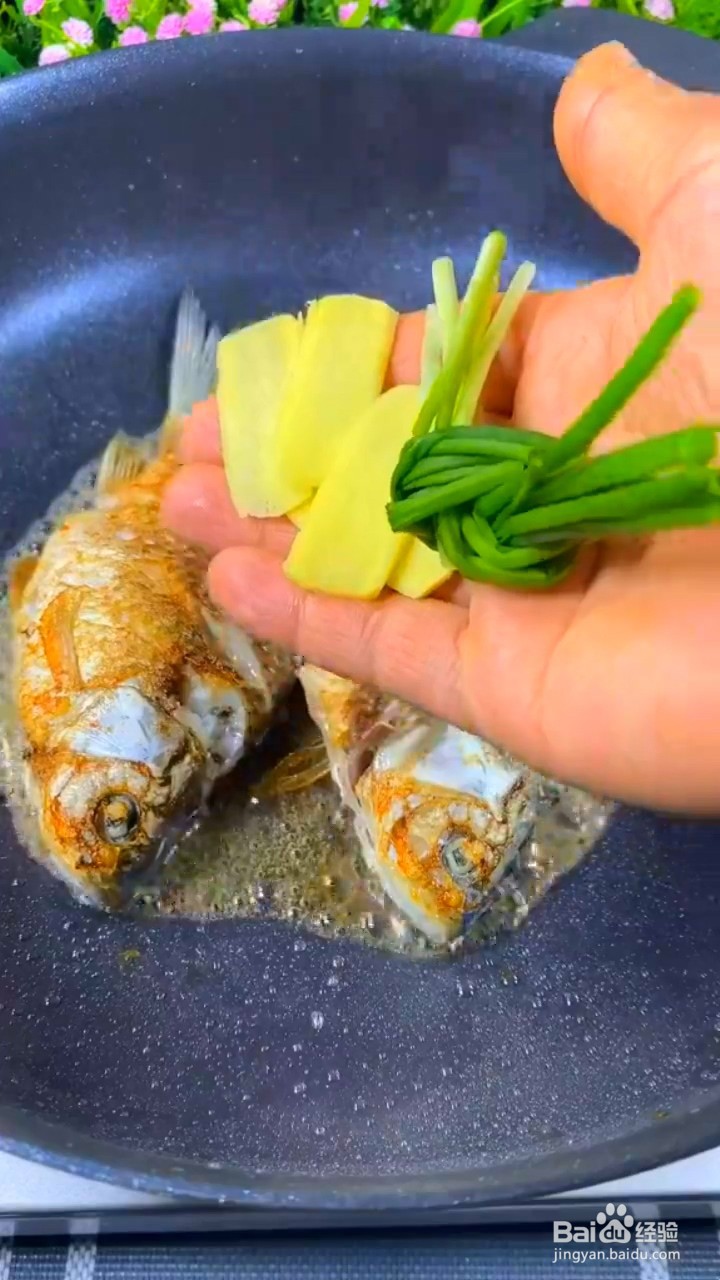 如何制作鲫鱼炖豆腐