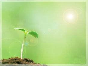 成功者具备哪些特质